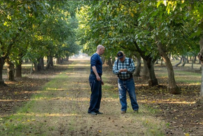 California Walnuts: The Fresh Crop Has Arrived in India = Wellness Within