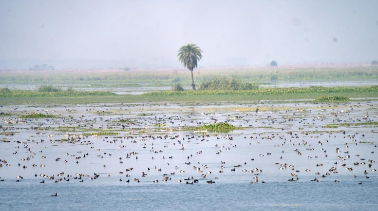 World Wetlands Day: The Art of Living Safeguards Nature’s Lifelines