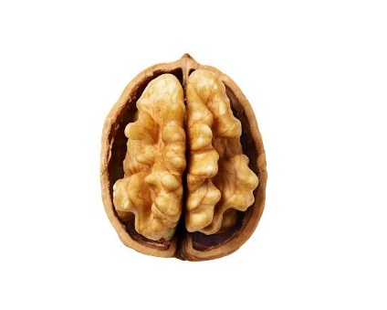 Study Shows Walnut-Rich Breakfast May Help to Boost Your Brain Power